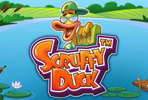 pp image